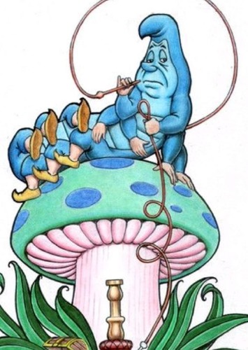 Miss Caterpillar