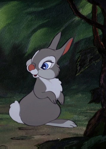 Miss Hare