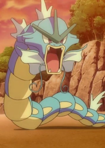 Misty's Gyarados