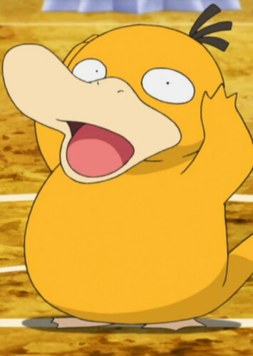 Misty's Psyduck (English Dub)