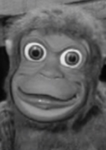 Mitch the Monkey (voice)