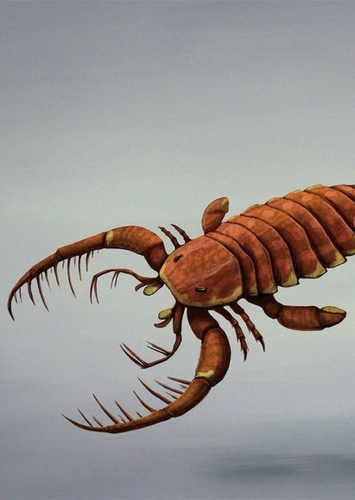 Mixopterus