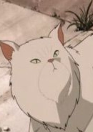 Miyuki