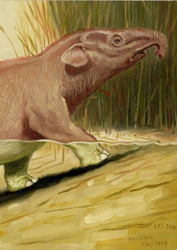 Moeritherium