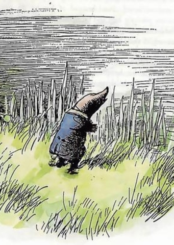 Mole