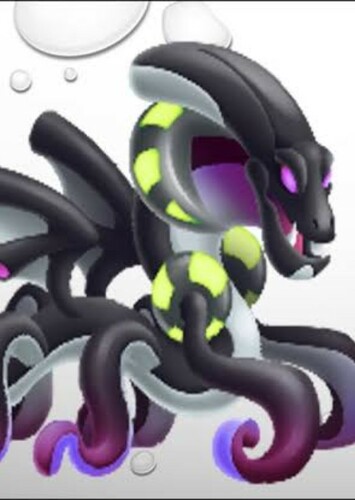 Molluck Dragon