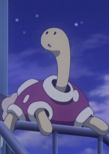 Molly's Shuckle