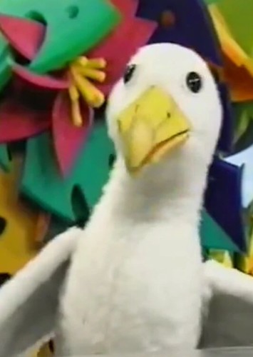 Molly the Albatross