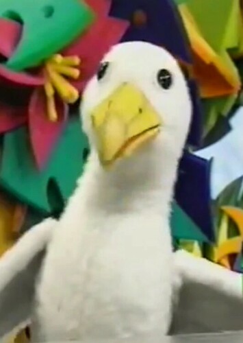 Molly the Albatross