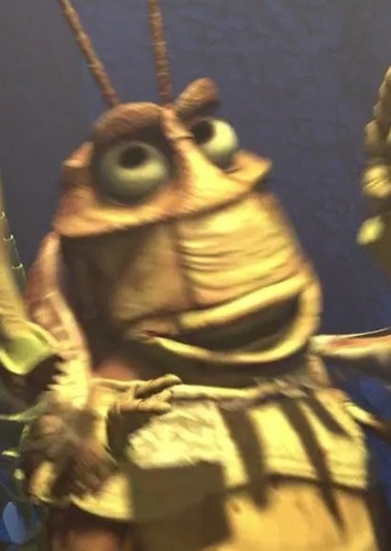 Molt
