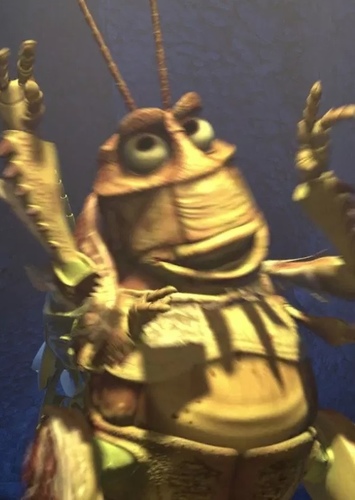 Molt