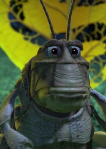 Molt