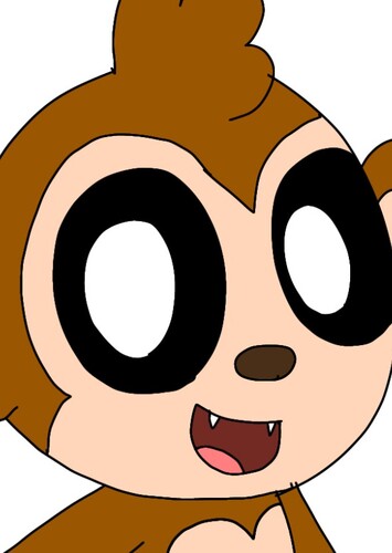 Momo the Monkey
