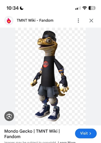Mondo gecko
