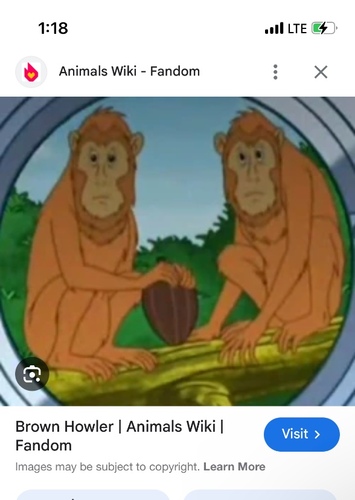 Monkey