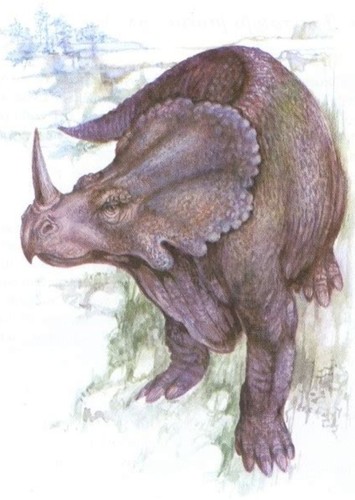 Monoclonius