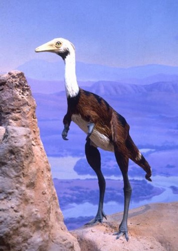 Mononykus