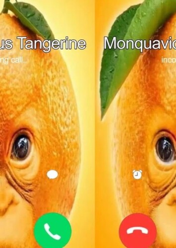 Monqavious Tangerine