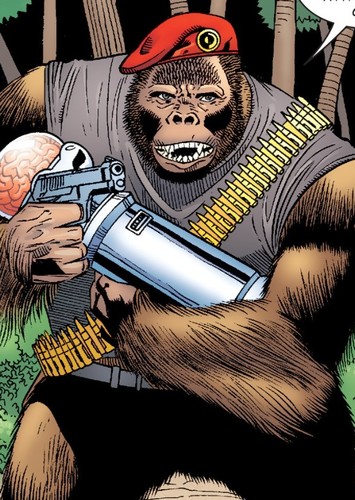 Monsieur Mallah