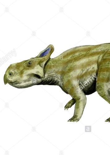 Montanoceratops