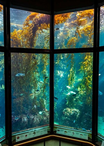 Monterey Bay Aquarium