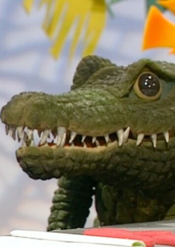 Montgomery Gator