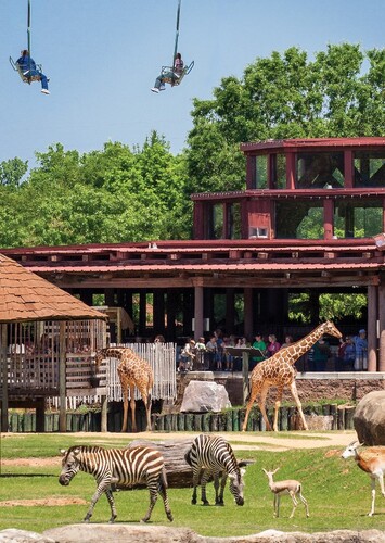 Montgomery Zoo