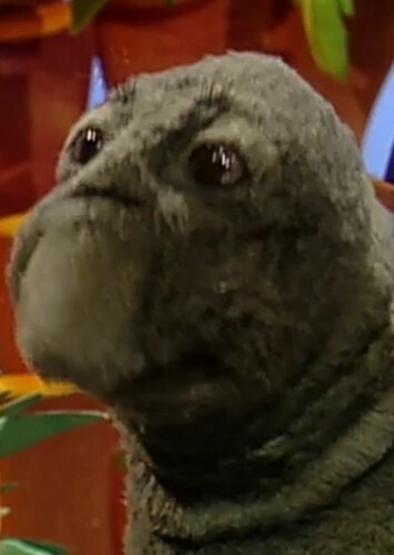 Monty The Elephant Seal