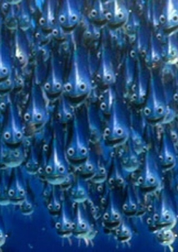 Moonfish
