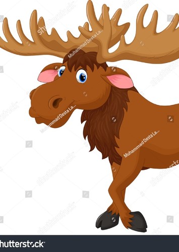 Moose