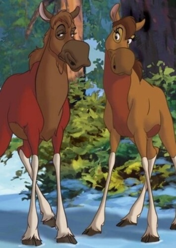 Moose