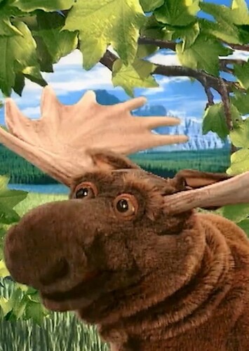 Moose