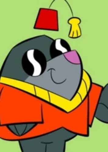 Morocco Mole