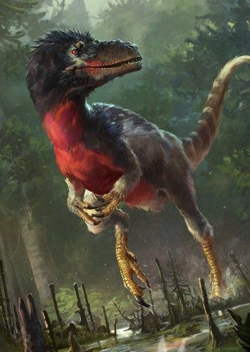 Moros intrepidus