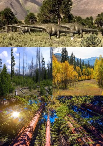 Morrison Formation