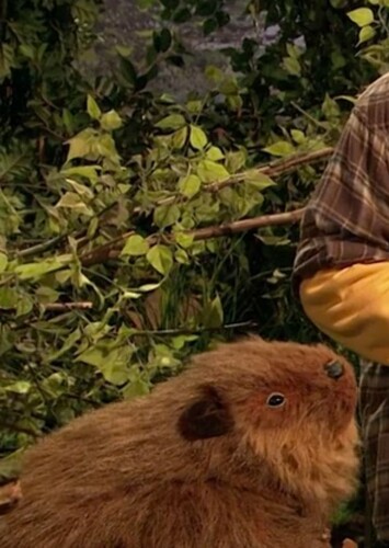 Morton the Beaver