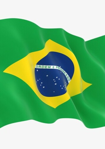 Most Beautiful Female Of Brasil