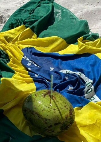 Most Handsome Male Of Brazil
