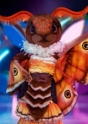 Moth