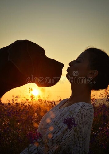 Mother of Great Dane