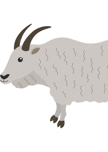 Mountain Goat