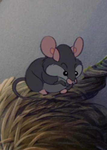 Mouse