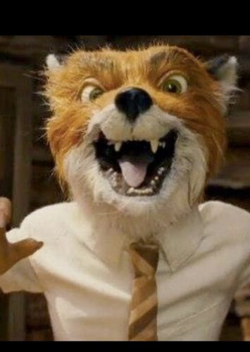 Mr. Fox