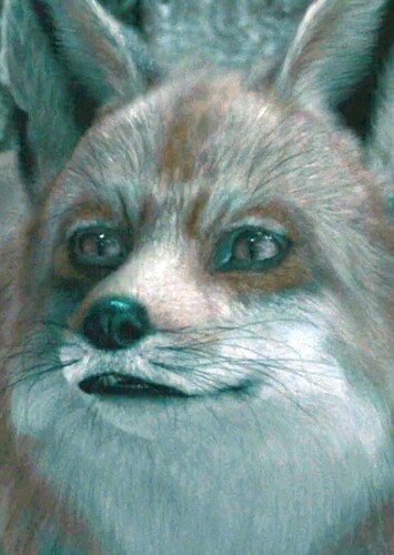 Mr. Fox
