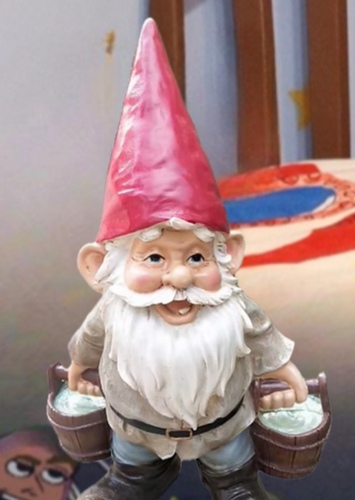 Mr. Gnome