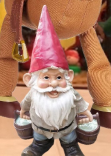Mr. Gnome