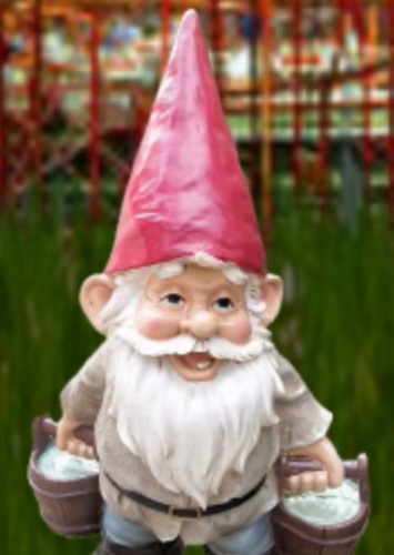 Mr. Gnome