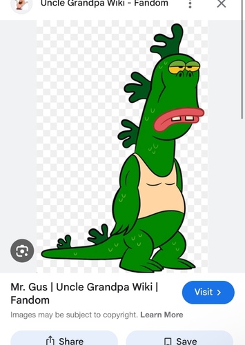 Mr Gus
