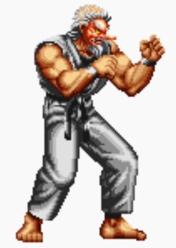 Mr. Karate