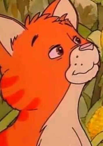 Mr. Marmalade
